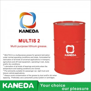 KANEDA MULTIS 2 Λιπαντικό λιθίου πολλαπλών χρήσεων.